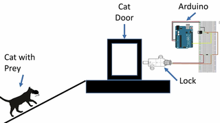 Illustration for article titled This AI-Powered Cat Door Is a Brilliant Way to Keep a Kitty's Murder Presents Outside